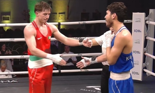 Boxing Streams Hub: Follow Every Knockout and Title Fight Live