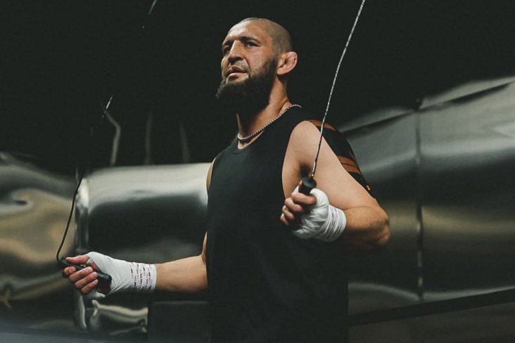 Free UFC Action Anytime: Your Go-To Live Stream Hub
